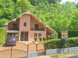 Velez IVANOVI DVORI