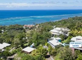 Top Ridge Views home