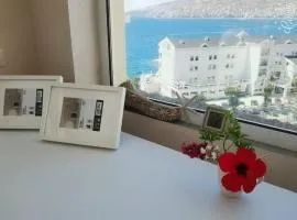 Elena's Hotel & apartments