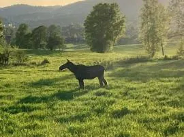 Vacation Home in Oslo