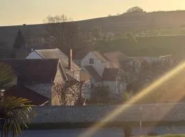 Maison dans le vignoble