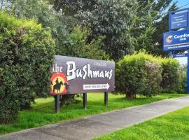 Comfort Inn Coach & Bushmans