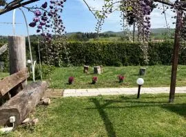 Agriturismo la Palma Hotel