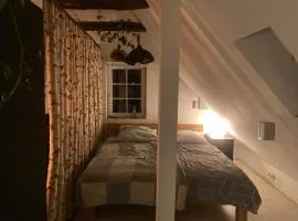 Charmantes Loft im Dachgeschoss