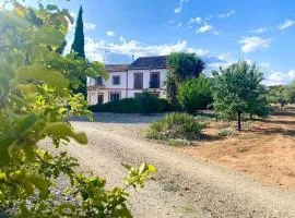Las maravillas de Manuel By Solymar Properties