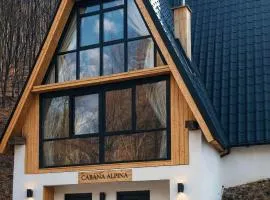 Cabana Aframe Blidari