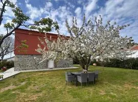 Stone House in Dikella
