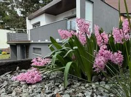 Boszkowo summer house & apartments