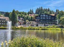 Hotels am Kranichsee, hôtel à Hahnenklee
