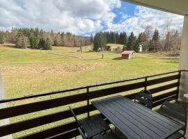 Le Cocon Alpin, Pied des Pistes, 7 Pers