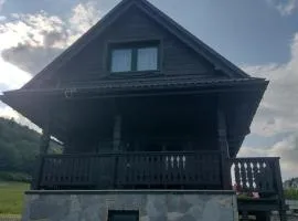 Domki BIERWIONO