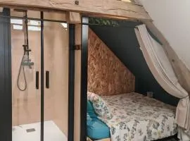 Le refuge du chat endormi