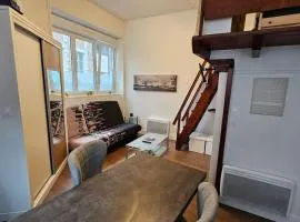 Old Arras studio avec mezzanine