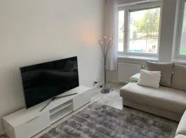 Central apartment on Valtakatu, Lappeenranta
