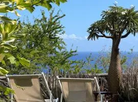 Le Bleu Horizon - jacuzzi - vue mer - clim - wifi