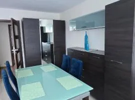 Easy Stay Spacious Apartment 3 Rooms