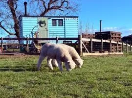 The Ketburn Shepherd's Hut