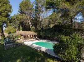 Authentic Provençal house with pool