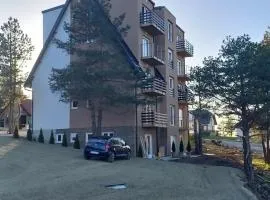 Apartman Davidovic