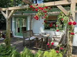 Peaceful Forestpark, Bikes included, Pool, Dog welcome