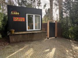 Black Cabin Veluwe - Wellness in het bos - Sauna, hotel a Putten