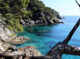 Charmant T3 dans villa proche de la mer