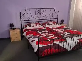 Serzio 2