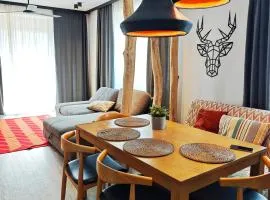 DOR Apartment