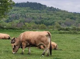 Un petit nid à la campagne