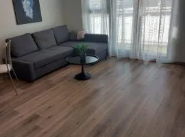 Cozy 1BR Apt Near Selfoss and Golden Circle