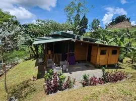Finca Rica Organic Cacao Farm Volcano View and Pool