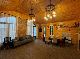 Spacious cozy house with fireplace, hotel din Zugdidi