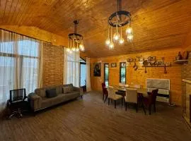 Spacious cozy house with fireplace