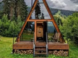 Two bedroom cottage in Hatsvali with Ushba view
