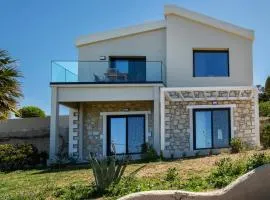 Villa Exo Chora Accessible By Plakalona Villas & Apartments
