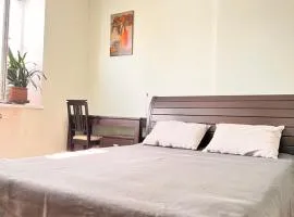 Timchenko 31
