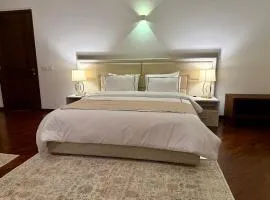 Penthouse 5