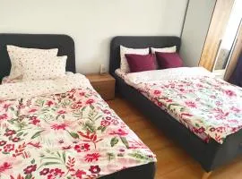 Cuibul Practic