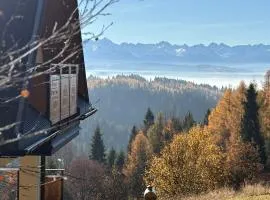 Domek w Gorcach