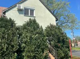 VIL'LAGUNA Apartment with view of Balaton