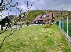 Agropensiunea Dănilă