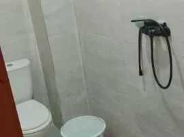 Amir's home