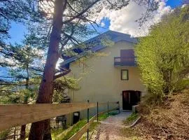 Le nid du vercors