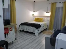 Souto 25 - T0 na Régua