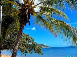 ISLAND TROPICS on Magnetic Island