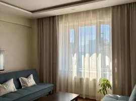 NEAT Minimal Apartment in Convenient Spot!