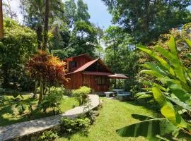Tropical Forest Adventure Near Arenal Volcano