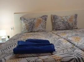 ADELA Apartment center city