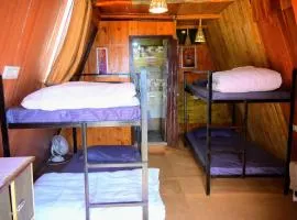 Chilux Manali