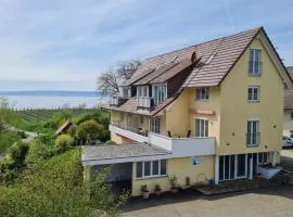 Harlacher-Mühle